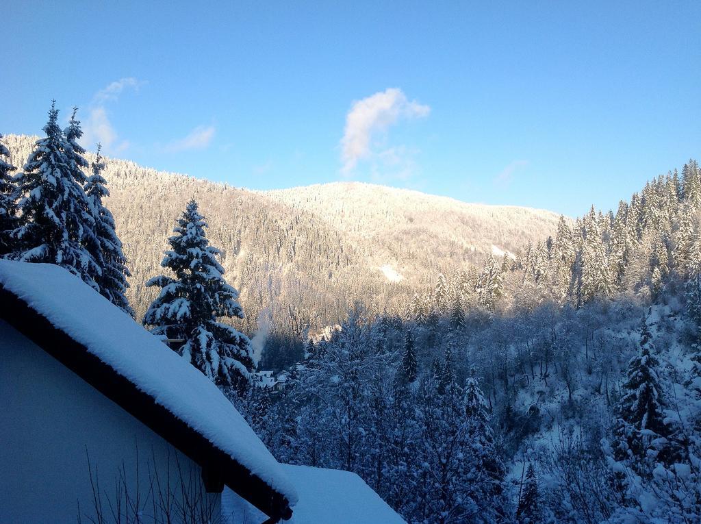 Villa Alpiyka Slavske Exteriör bild
