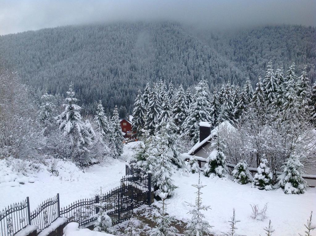 Villa Alpiyka Slavske Exteriör bild